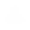 Voltera